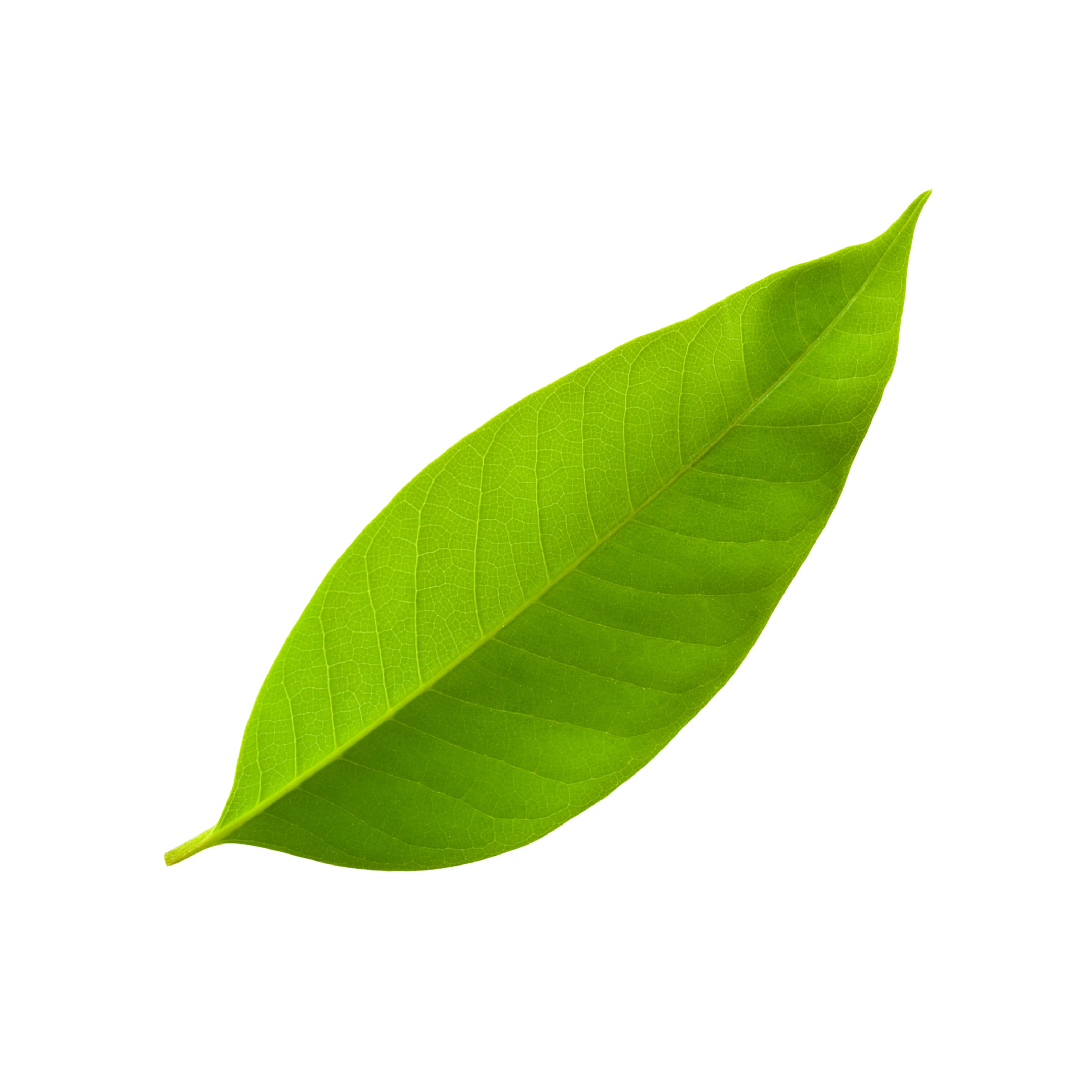 feature-item-3